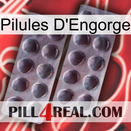 Engorge Pills 31